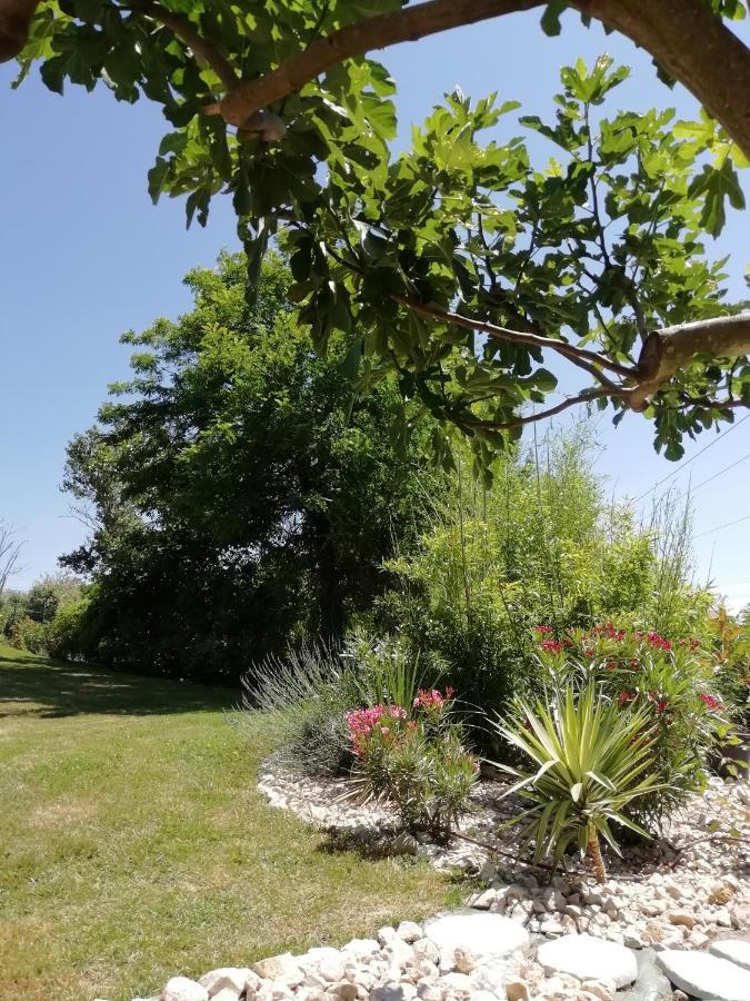 Le Gite Du Moulin Lagardelle-sur-Lèze Eksteriør billede